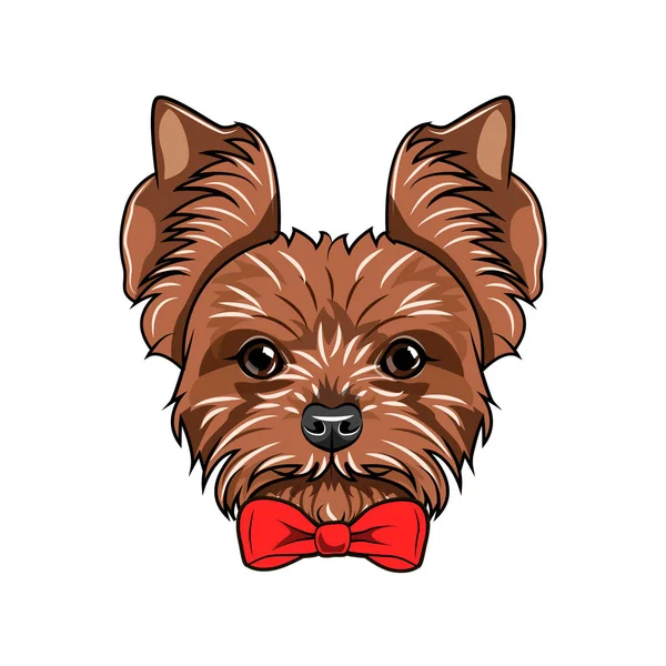 Yorkshire terrier porträtt. Dekorativ rosett. Röd rosett. Hundras. Vektor. — Stock vektor