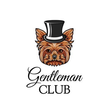 Yorkshire terrier köpek beyefendi. Silindir şapka. Beyefendi club metin. Yorkshire terrier doğurmak. Köpek portre. Vektör.