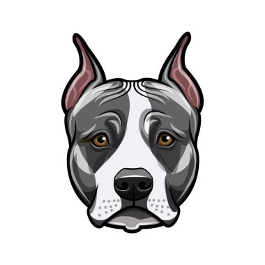 Amerikan staffordshire terrier baş yüz. Köpek portre. Staffordshire terrier doğurmak. Vektör.