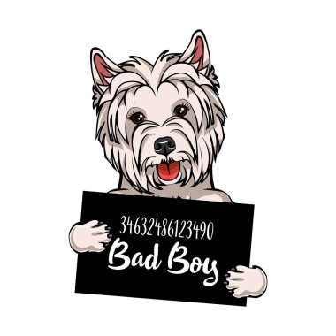 Batı dağlık beyaz korkunç kötü çocuk. Köpek hapishane. Polis mugshot arka plan. Batı dağlık beyaz korkunç suçlu. Vektör.
