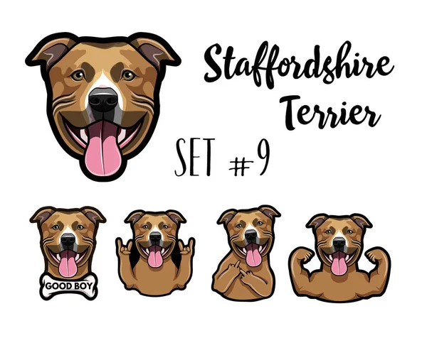 Cão Staffordshire Terrier. gesto do dedo médio, chifres, músculos, osso, gesto Rock. Retrato de cão. Staffordshire Terrier focinho, cara, cabeça. Vetor . —  Vetores de Stock