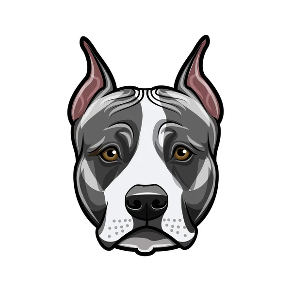 American staffordshire terrier head face. Dog portrait. Staffordshire terrier breed. Vector. — Stock Vector