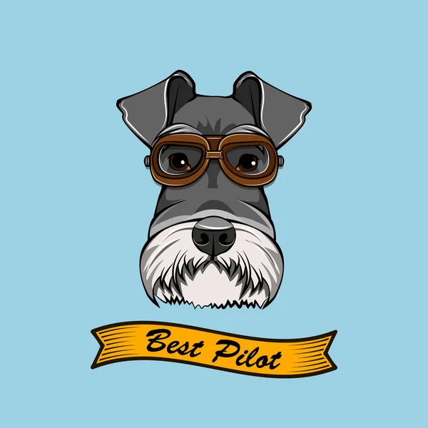 Piloto de Schnauzer Dog. Gafas de aviador. Las mejores letras de piloto. Vector . — Archivo Imágenes Vectoriales