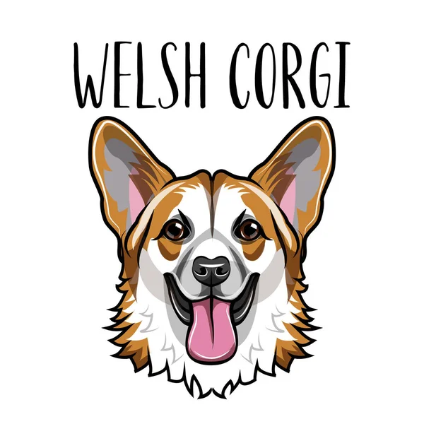 Cara de galês Corgi. Retrato de cão. Raça de cão Corgi. Vetor . — Vetor de Stock