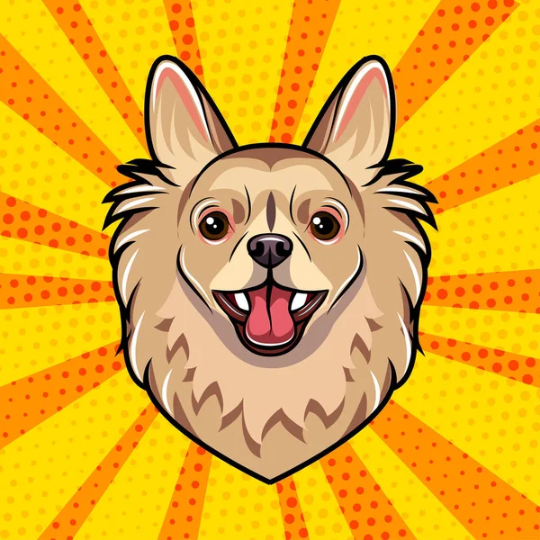 Retrato de perro chihuahua. La raza chihuahua. Fondo colorido. Vector . — Vector de stock