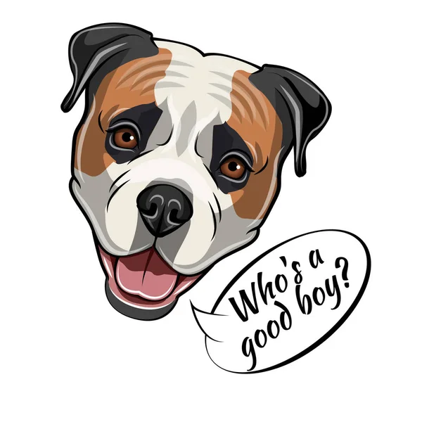 Cabeza de Bulldog americano. Quien es un buen chico escribiendo. Retrato de perro. Vector . — Vector de stock