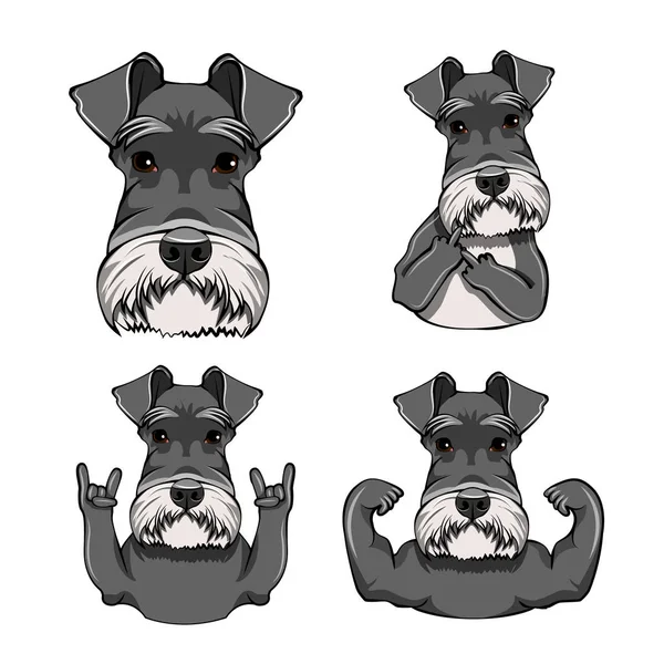 Schnauzer Dog. gesto de rock, rosto, dedo médio, chifres, cabeça, focinho. Schnauzer pronto. Vetor . —  Vetores de Stock