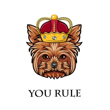 Yorkshire Terrier köpek. Taç. Köpek Kral, Kraliçe. Sen yazı kural. Vektör.