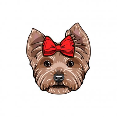 Yorkshire terrier kırmızı yay ile. Yorkshire terrier köpek doğurmak. Köpek portre. Dekoratif kırmızı yay. Vektör.