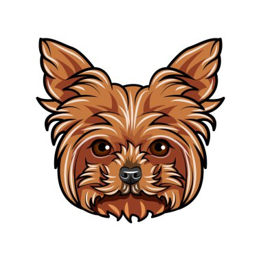 Köpek Yorkshire terrier portre. Köpek doğurmak. Köpek yüz, namlu çıkış, kafa. Vektör.