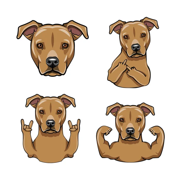 Staffordshire Terrier dog. Rock gesture, Middle finger, Face, Muscles, Head, Muzzle. Dog portrait. Gestures set. Vector. — Stock Vector