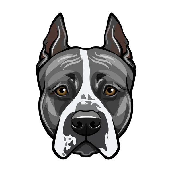 Tête de terrier du Staffordshire américain. Portrait de chien. Vecteur . — Image vectorielle