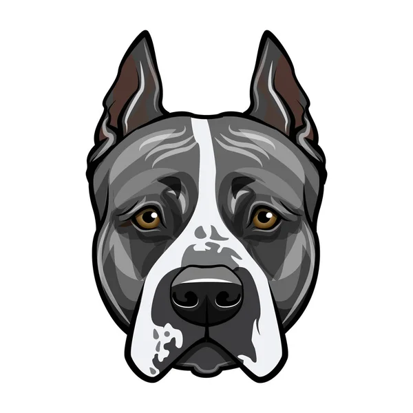 American staffordshire terrier cara de cabeza. Retrato de perro. Vector . — Archivo Imágenes Vectoriales