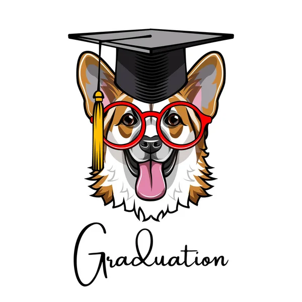 Graduado perro Corgi. Gafas inteligentes. Gorra de graduaciones. Perro listo. Vector . — Archivo Imágenes Vectoriales