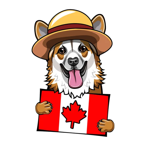 Cão corgi. Bandeira canadense. Cartão feliz dia Canadá saudação. Corgi vestindo na forma da Real Polícia Montada Canadense. Vetor . — Vetor de Stock