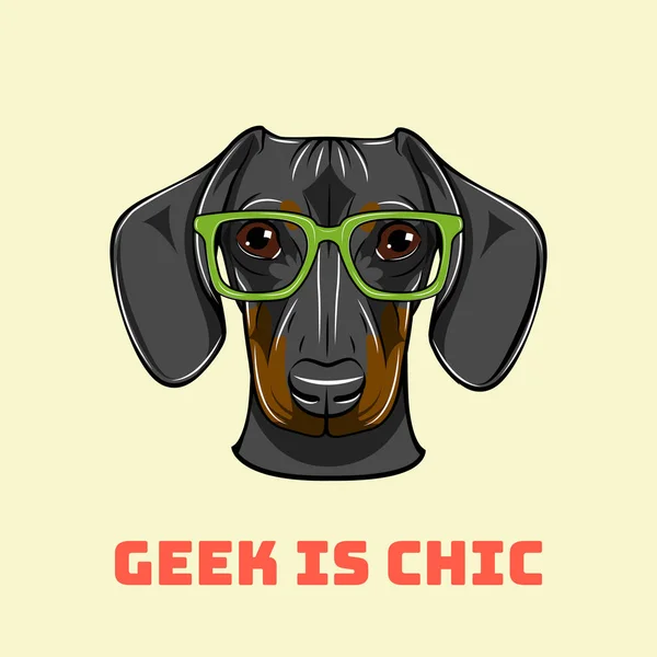 Teckel geek. Slimme bril. Hond nerd. Geek is chique. Vector. — Stockvector