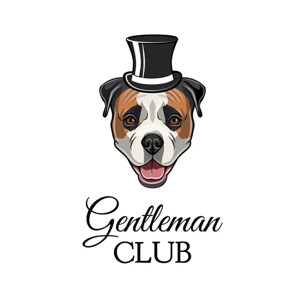 Amerikaanse bulldog meneer. Hoge hoed pictogram. Gentleman club inscriptie. Hond portret. Vector. — Stockvector