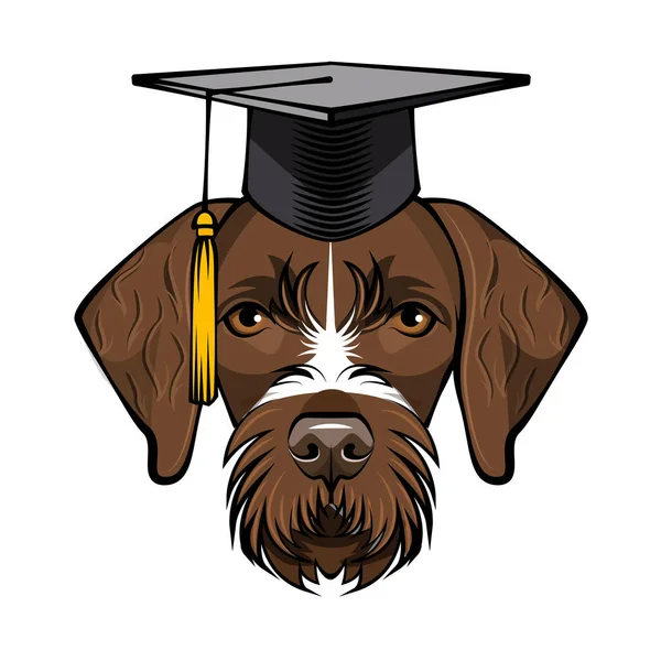 Diploma di puntatore a pelo corto tedesco per cani. Cappello graduato. Vettore . — Vettoriale Stock