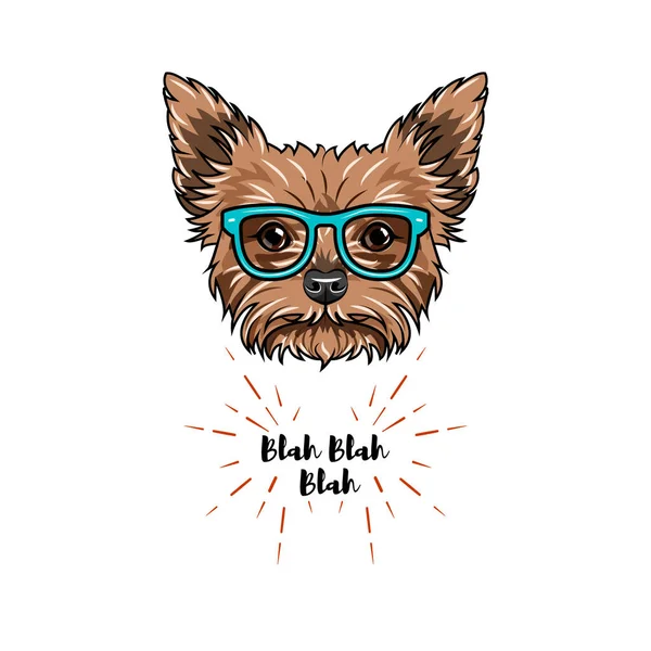 Yorkshire terrier nerd. Gafas inteligentes. Geek perro. Retrato de Yorkshire terrier. Vector . — Archivo Imágenes Vectoriales