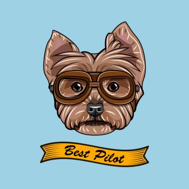 Yorkshire terrier Pilot. Havacılar gözlük. En iyi Pilot yazı. Vektör.