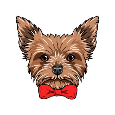 Yorkshire Terrier köpek. Kırmızı yay. Köpekler aksesuar. Yorkshire terrier köpek doğurmak. Vektör.