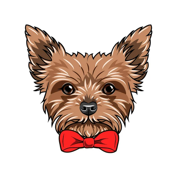 Yorkshire Terrier köpek. Kırmızı yay. Köpekler aksesuar. Yorkshire terrier köpek doğurmak. Vektör.