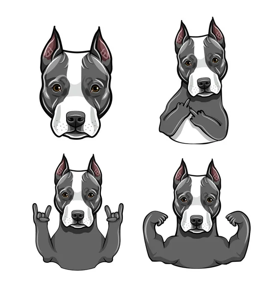 Staffordshire Terrier hond. Penbewegingen instellen. Spieren, middelvinger, hoofd, Rock gebaar, horens. Hond portret. Vector. — Stockvector