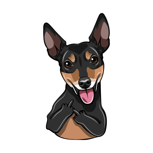 "Russian Toy Terrier Dog". Um gesto do dedo médio. Retrato de cão. Raça Toy Terrier. Vetor . —  Vetores de Stock