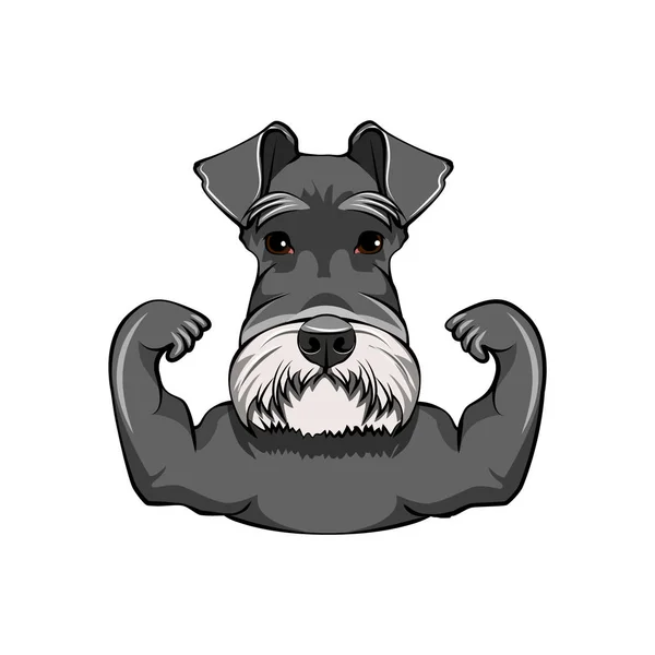 纳瑞狗肌肉。强壮的狗。纳瑞健美肖像。向量. — 图库矢量图片