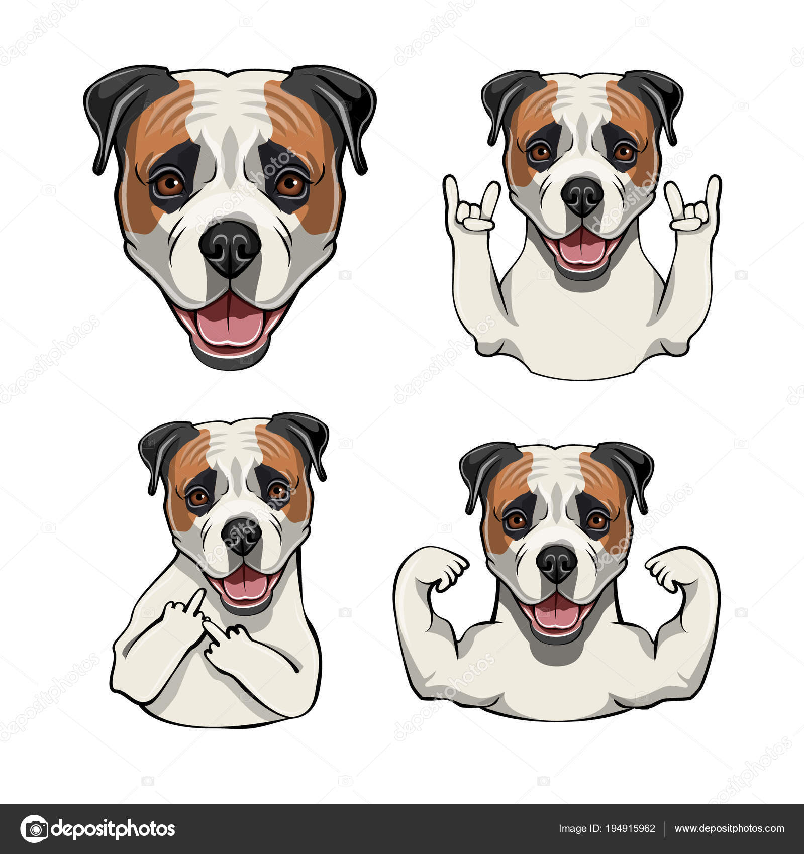 Do Dogs Know What The Middle Finger Means