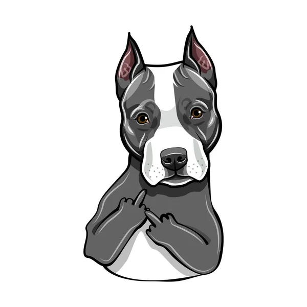 Perro terrier de Staffordshire. Un gesto del dedo medio. American Staffordshire terrier portrait. Vector . — Vector de stock