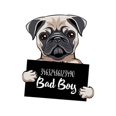 Pug mahkum. Pug köpek kötü çocuk. Köpek suçlu. Köpek tutuklandı. Vektör.