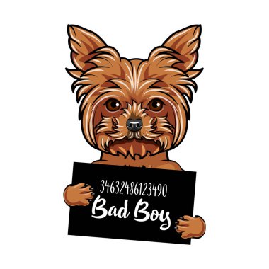 Yorkshire Terrier köpek kötü çocuk. Köpek suçlu. Polis mugshot arka plan. Yorkshire korkunç hapishane. Köpek tutuklandı. Vektör.