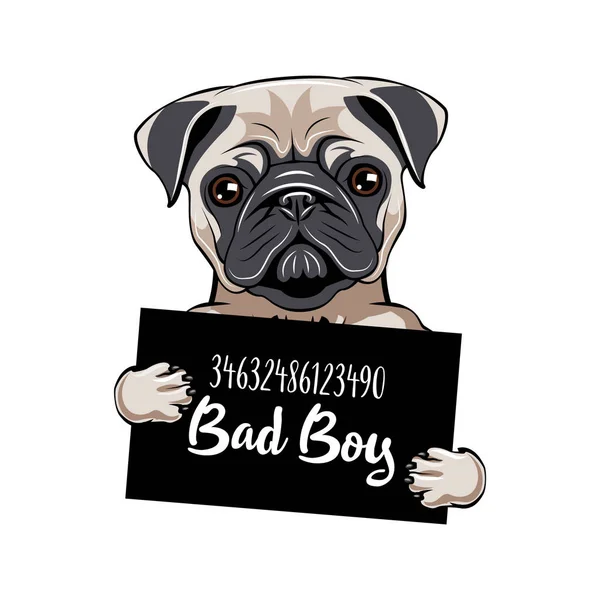 Pug prisionero. Pug dog chico malo. Perro criminal. Perro arrestado. Vector . — Vector de stock