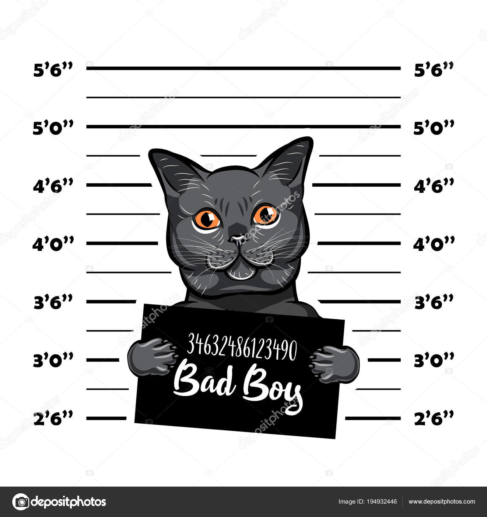 Cat Gray Is Bad Cat Stock Photo - Download Image Now - Animal, Arrest,  Backgrounds - iStock