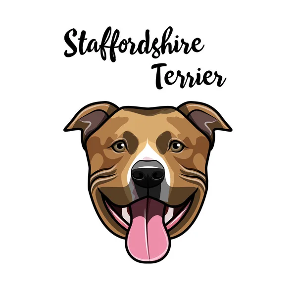 Amerikan Staffordshire Terrier portre. Şirin köpek. Staffordshire korkunç kafa. Vektör.