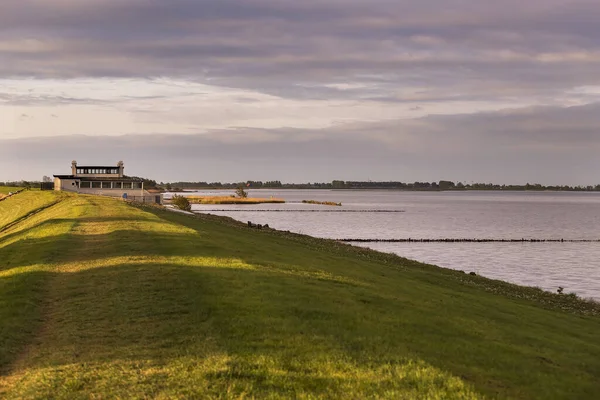Пляж Зеленою Травою Біля Моря Гінделовідкритій Голландії Землі Тіні Сонця — стокове фото