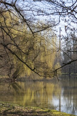 Göl manzaralı bir park yeri. Göletin etrafında suya yansıyan ağaçlar vardır. Arka plan bulutsuz mavi bir gökyüzü..