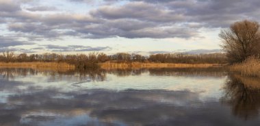 Sunset 'teki Overgrown Gölü. Mavi su ve beyaz bulutlar suya yansıyor.