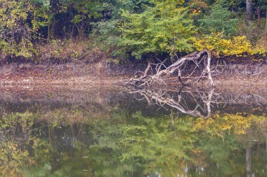 Ağaçların devrildiği gölet.