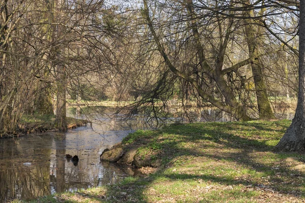 Park Mit Blick Auf Den Teich Rund Den Teich Stehen — Stockfoto