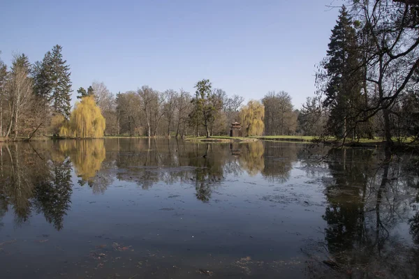 Park Mit Blick Auf Den Teich Rund Den Teich Stehen — Stockfoto