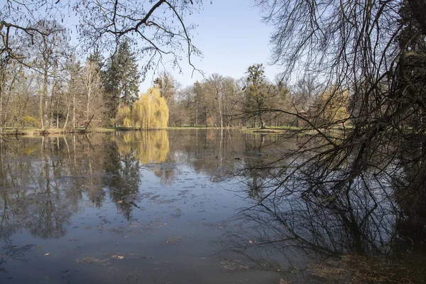 Park Mit Blick Auf Den Teich Rund Den Teich Stehen — Stockfoto