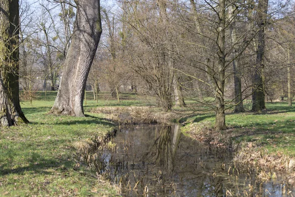 Park Kterým Teče Řeka Stromy Odrážející Vodě — Stock fotografie