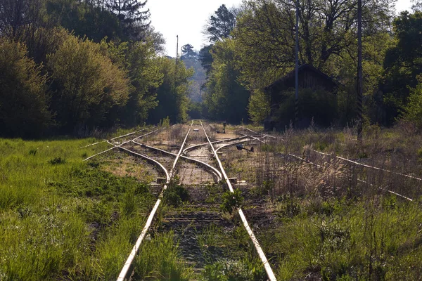 Spoorwegen Met Een Schakelaar Sporen Zijn Begroeid Met Gras Staan — Stockfoto