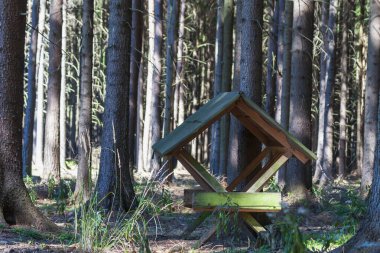 Ormandaki orman hayvanları için samanlıkta saman yığını Ağaçların arasında