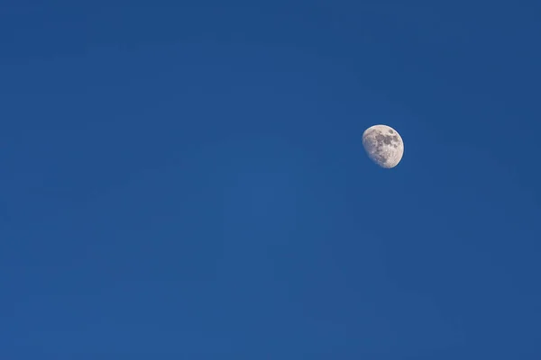 Moon in blue sky without clouds.