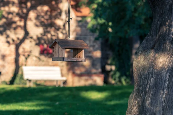 在公园里的树上挂着一只木制的喂鸟机 背景是一条白色的长椅 — 图库照片