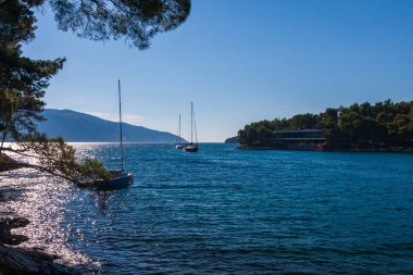 Hırvatistan 'ın Hvar adasındaki tarihi liman kenti Stari Grad' da tekne ve manzaralar.