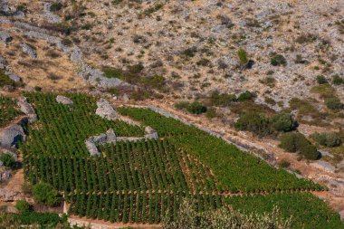 Hırvatistan 'ın Hvar adasındaki İvan Dolac üzerindeki dağların manzara manzarası.